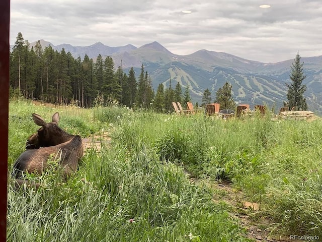 59 Club House Road 1/2Quarter Share D, Breckenridge, CO 80424 - view of mountain backdrop with a forest