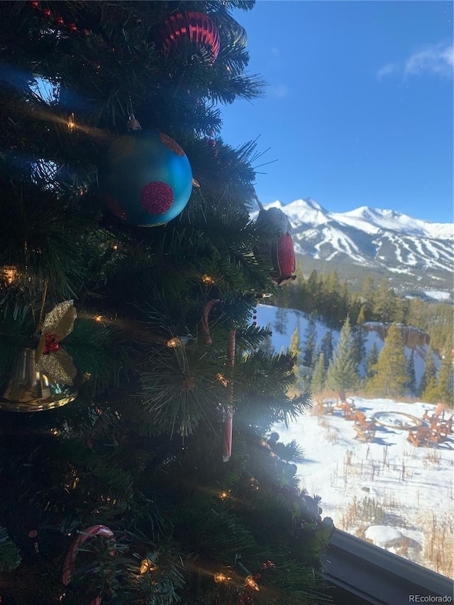 59 Club House Road 1/2Quarter Share D, Breckenridge, CO 80424 - exterior view of mountains