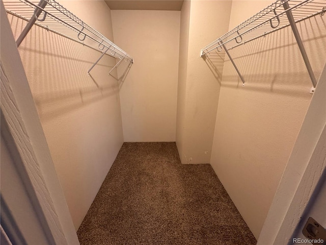 spacious closet with carpet floors