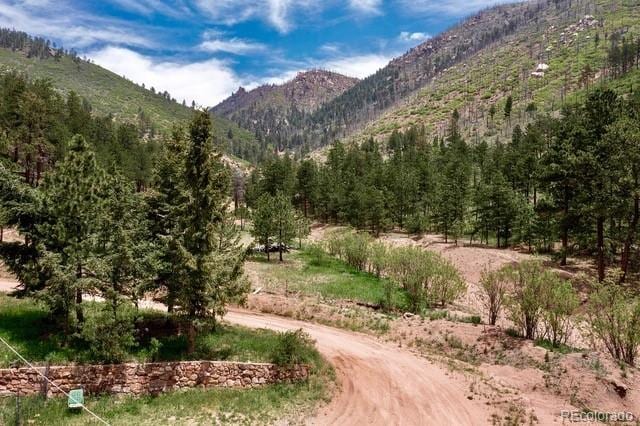 5975 Wellington Rd, Cascade, CO 80809 - mountain view
