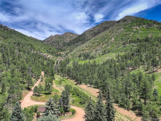 5975 Wellington Rd, Cascade, CO 80809 - mountain view featuring a forest