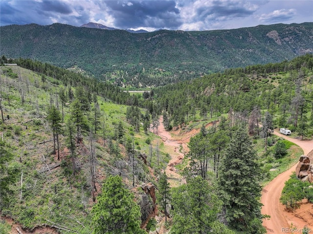 5975 Wellington Rd, Cascade, CO 80809 - view of mountain background featuring a forest