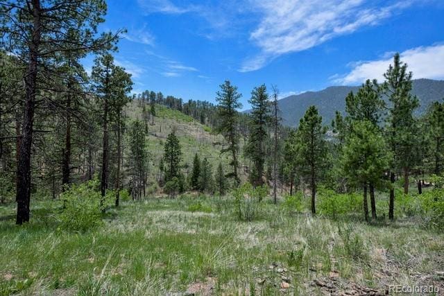 5975 Wellington Rd, Cascade, CO 80809 - mountain view featuring a heavily wooded area