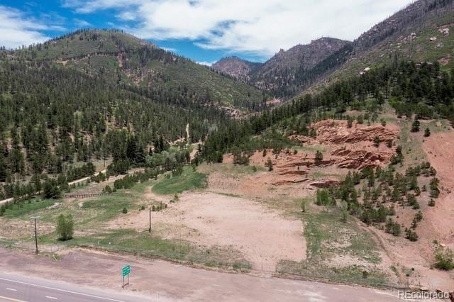 5975 Wellington Rd, Cascade, CO 80809 - mountain view