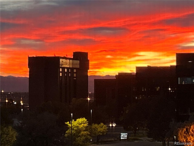 3144 S Wheeling Way Unit 401, Aurora, CO 80014 - city view