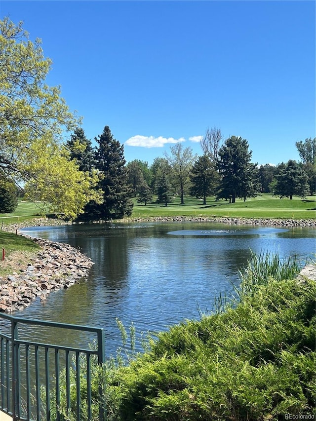3144 S Wheeling Way Unit 401, Aurora, CO 80014 - water view
