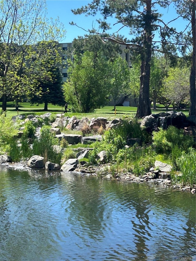 3144 S Wheeling Way Unit 401, Aurora, CO 80014 - water view