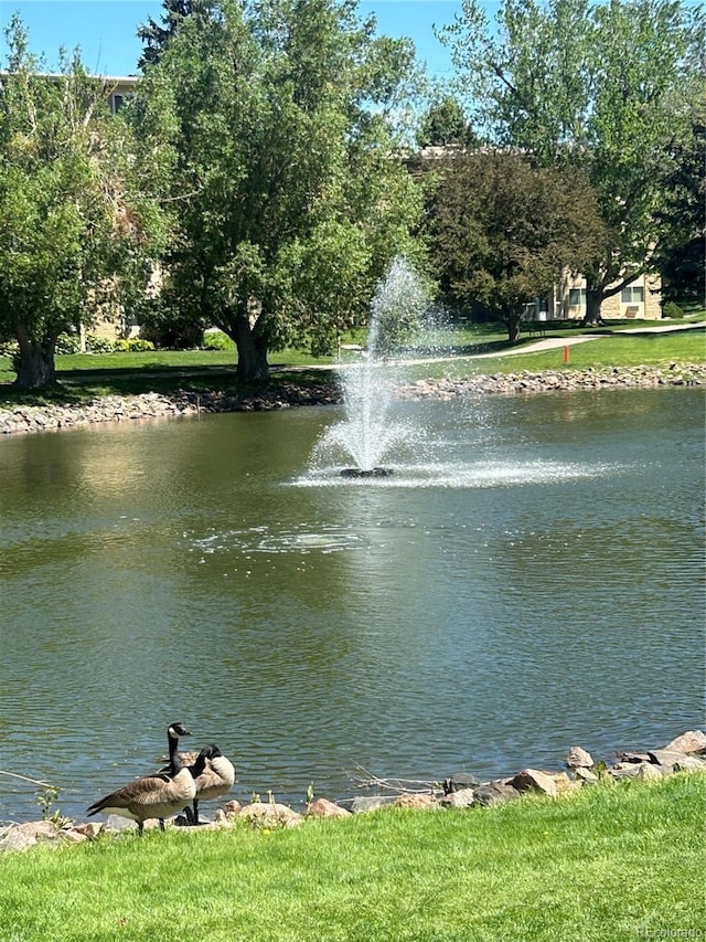 3144 S Wheeling Way Unit 401, Aurora, CO 80014 - water view