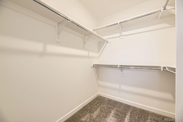 2190 S Haleyville Way, Aurora, CO 80018 - walk in closet featuring carpet flooring