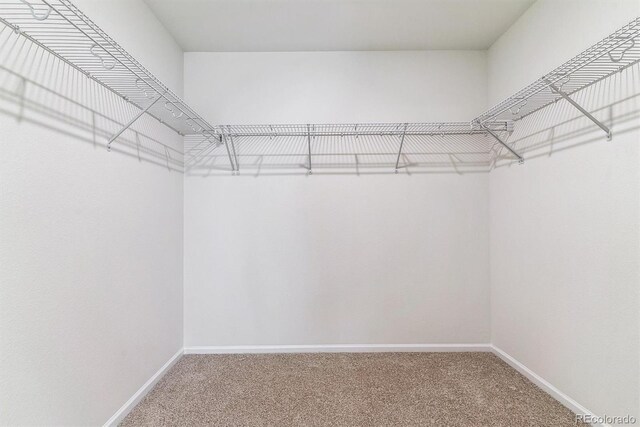 spacious closet with carpet flooring