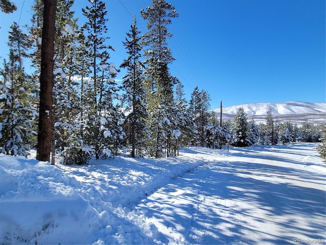 snowy yard featuring a mountain view