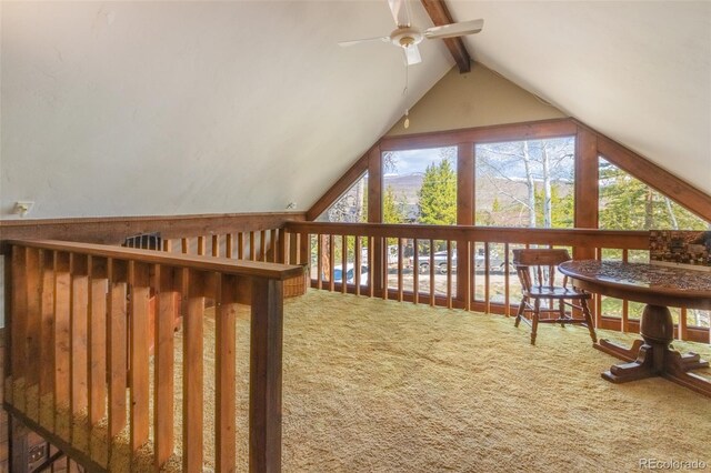1318 Gcr 49, Grand Lake, CO 80447 - photo 22