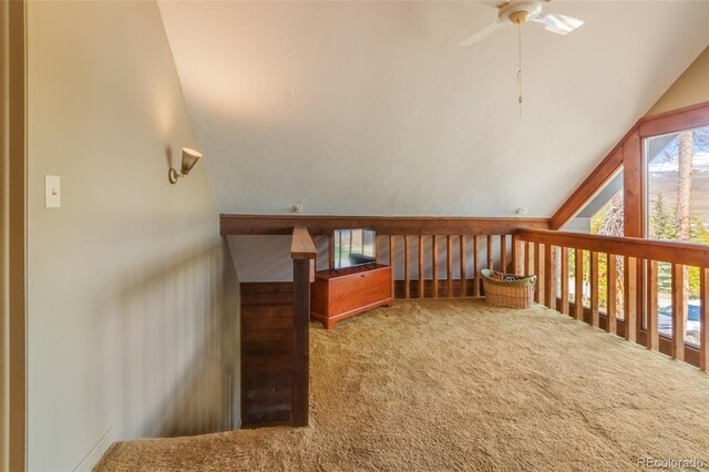 1318 Gcr 49, Grand Lake, CO 80447 - photo 27