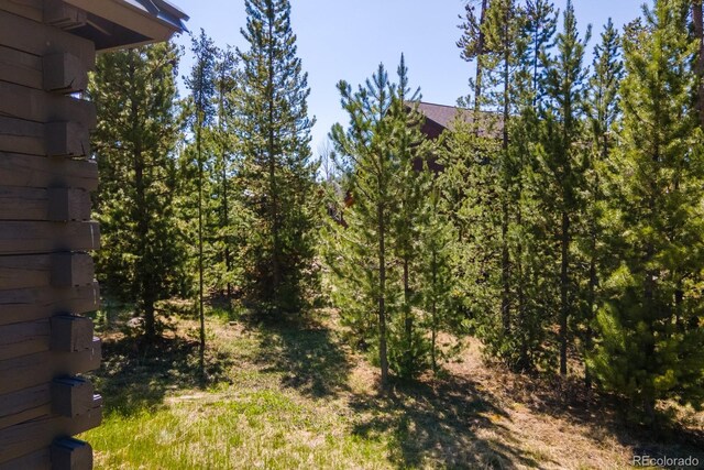 1318 Gcr 49, Grand Lake, CO 80447 - photo 32