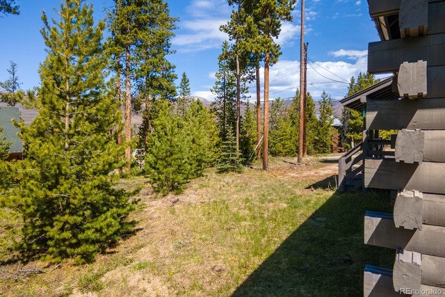 1318 Gcr 49, Grand Lake, CO 80447 - photo 33