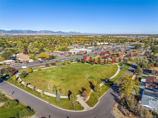 4030 Upham St, Wheat Ridge, CO 80033 - photo 43