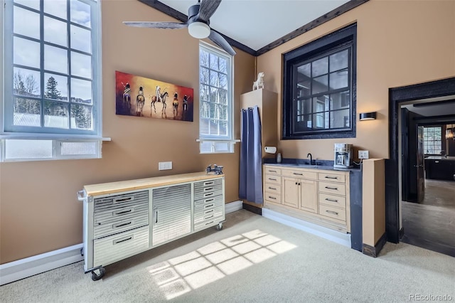 interior space with carpet flooring, baseboards, a ceiling fan, a sink, and crown molding