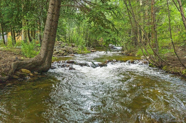 view of tree filled area