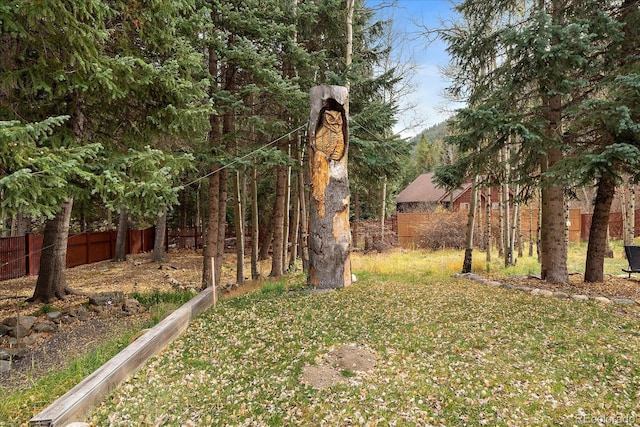 view of yard