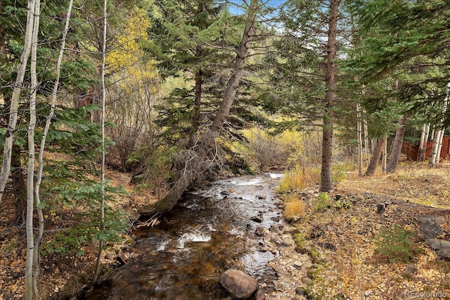 2971 Fall River Rd, Idaho Springs, CO 80452 - view of wooded area