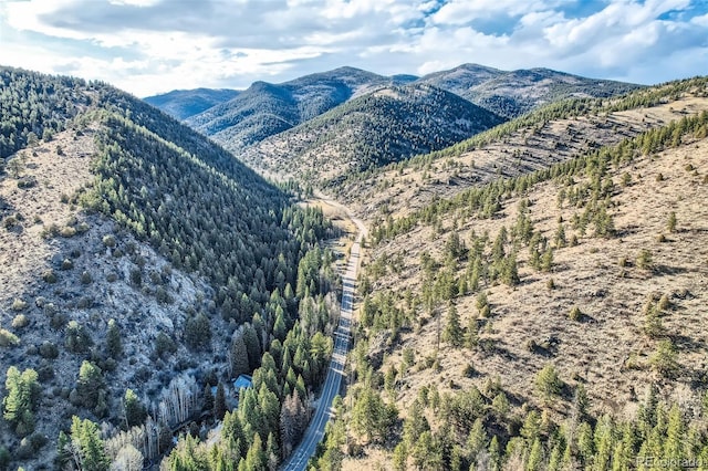 2971 Fall River Rd, Idaho Springs, CO 80452 - mountain view