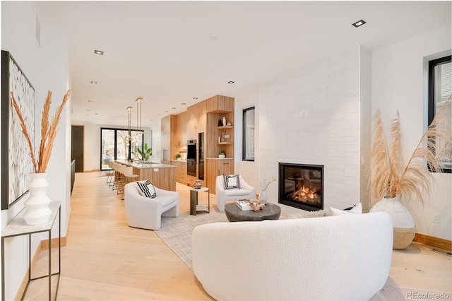 living room featuring a large fireplace and light hardwood / wood-style floors