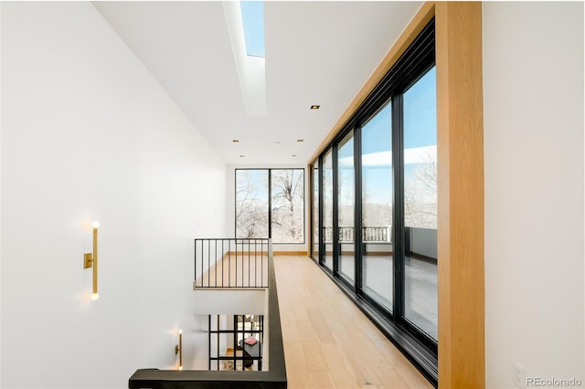 hallway with a wall of windows, a skylight, and hardwood / wood-style flooring