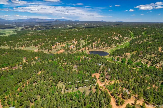 43 Montana Cir, Florissant CO, 80816 land for sale