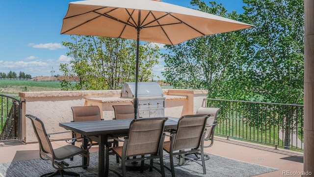 1820 Mallard Dr, Broomfield, CO 80020 - view of patio with area for grilling and outdoor dining area