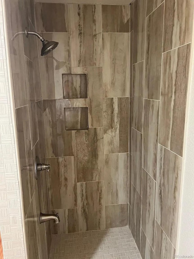 22822 E Union Cir, Aurora, CO 80015 - full bath with a tile shower