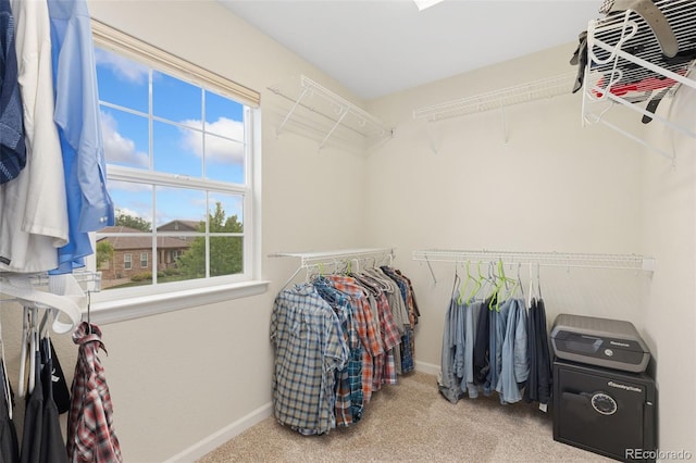 2647 Gray Wolf Loop, Broomfield, CO 80023 - spacious closet with carpet floors
