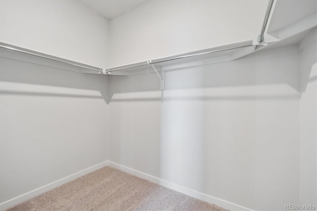 14131 Deertrack Ln, Parker, CO 80134 - photo 18