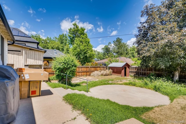 view of yard featuring a patio and a shed