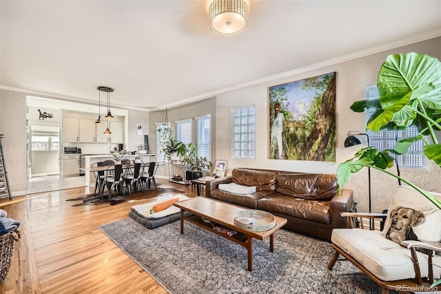 living room featuring ornamental molding and hardwood / wood-style flooring