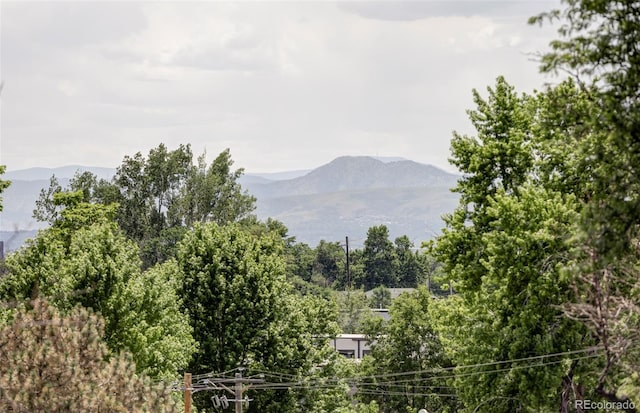 2726 Federal Blvd Unit 3, Denver, CO 80211 - photo 32
