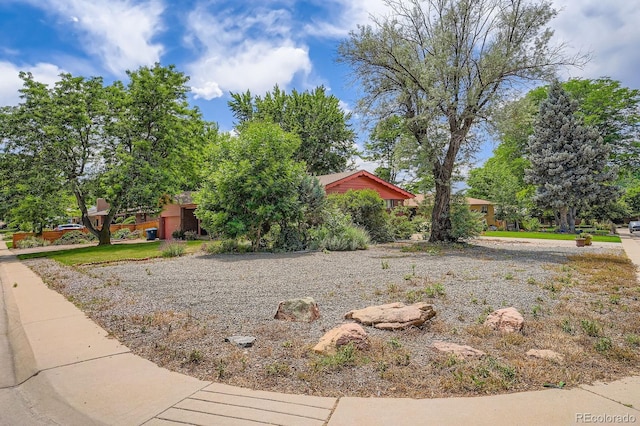 4465 Cody St, Wheat Ridge, CO 80033 - photo 2