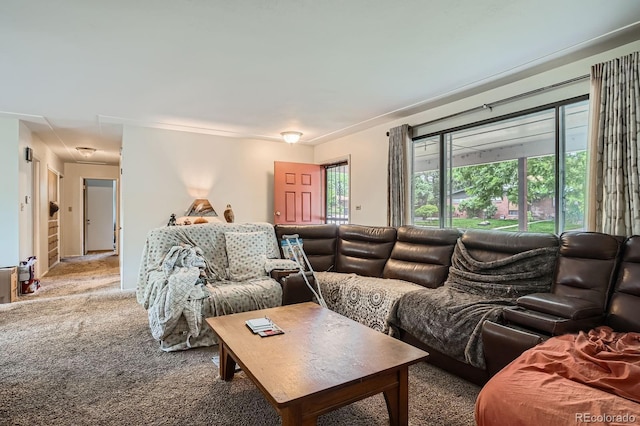 4465 Cody St, Wheat Ridge, CO 80033 - photo 3