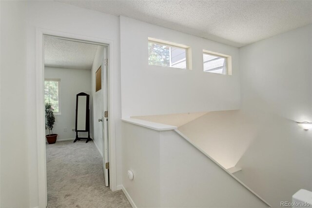 709 S Depew St, Lakewood, CO 80226 - photo 19