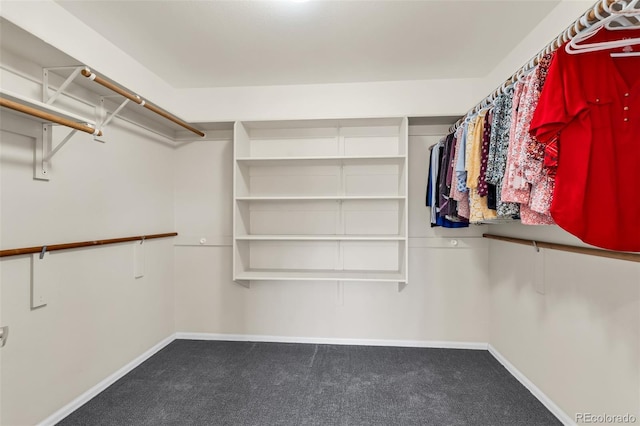 walk in closet with carpet