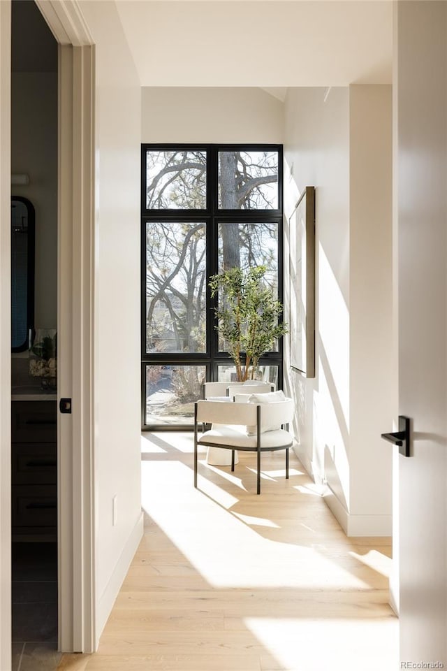 interior space featuring light hardwood / wood-style flooring