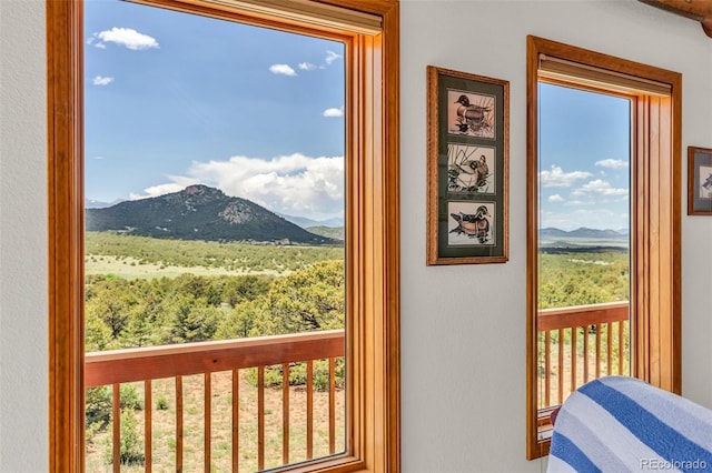 90 Riggs Rd, Westcliffe, CO 81252 - doorway with a mountain view and a textured wall