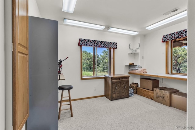 90 Riggs Rd, Westcliffe, CO 81252 - misc room with carpet floors and baseboards