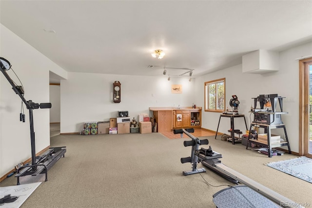 90 Riggs Rd, Westcliffe, CO 81252 - exercise room with carpet flooring and baseboards
