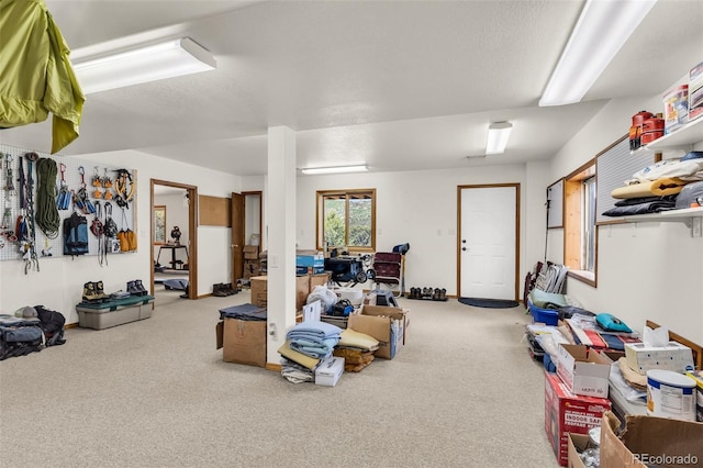 90 Riggs Rd, Westcliffe, CO 81252 - living room with carpet