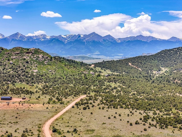 90 Riggs Rd, Westcliffe, CO 81252 - view of mountain background
