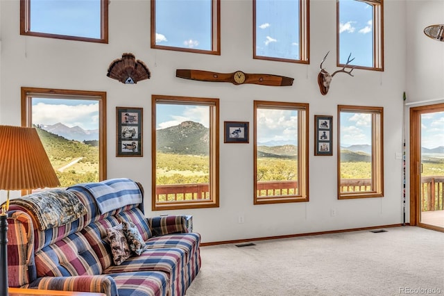 90 Riggs Rd, Westcliffe, CO 81252 - carpeted living area featuring a towering ceiling and a mountain view