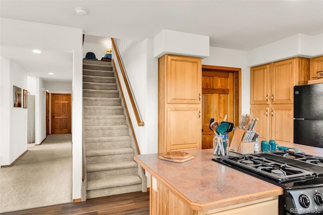 90 Riggs Rd, Westcliffe, CO 81252 - kitchen with gas range oven, freestanding refrigerator, wood finished floors, recessed lighting, and light countertops