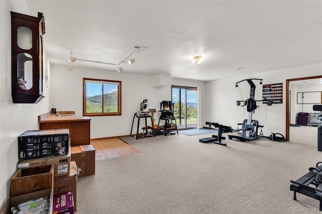 90 Riggs Rd, Westcliffe, CO 81252 - exercise room featuring carpet