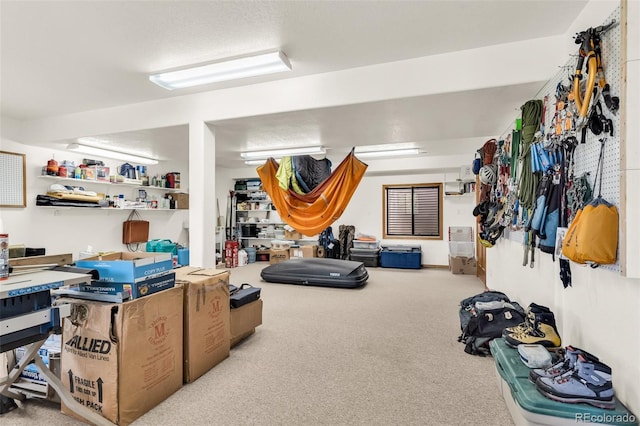 90 Riggs Rd, Westcliffe, CO 81252 - finished basement featuring carpet