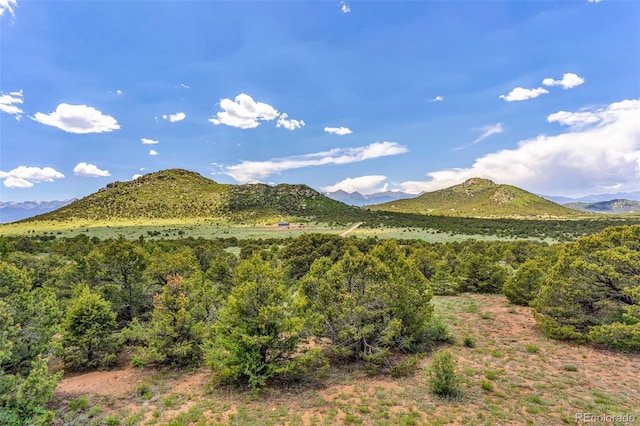 90 Riggs Rd, Westcliffe, CO 81252 - view of mountain background